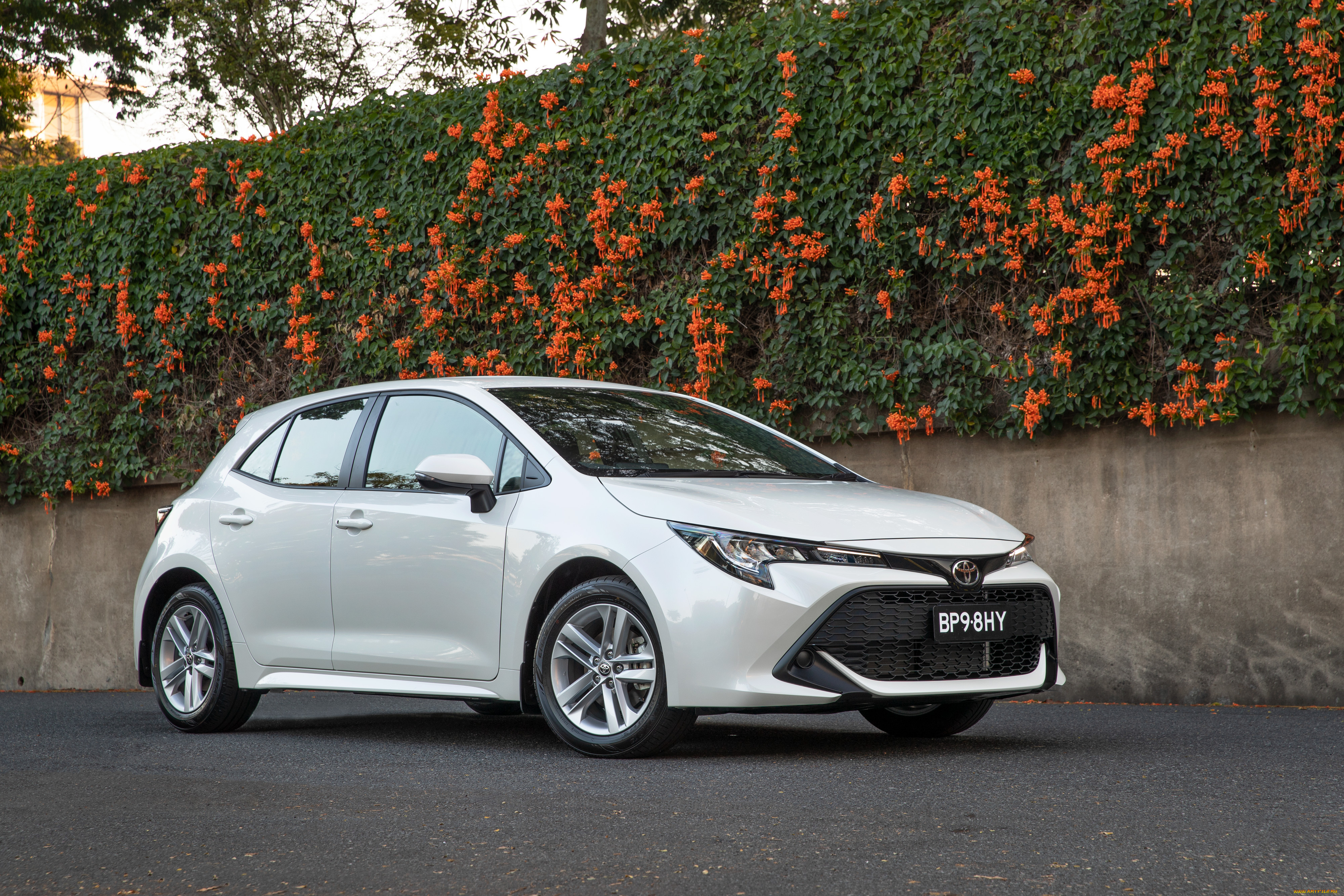 , toyota
